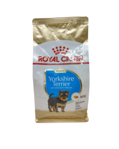 Yorkshire Terrier cucciolo 500gr