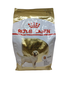 Labrador Retriever ADULT Crocchette kg 3 Royal Canin