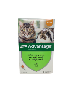 ADVANTAGE 40 gatti e conigli <4 kg