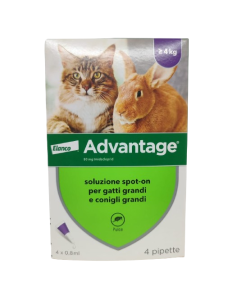 Elanco Advantage gatto e coniglio