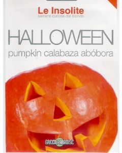 ZUCCA HALLOWEEN