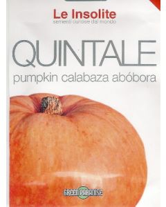 ZUCCA QUINTALE A SEME GIALLO