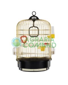 REGINA OTTONATA GABBIA REGINA OTTONATA GABBIA