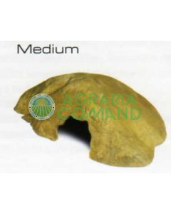 REPTIL CAVES MEDIUM
