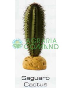 SAGUARO CACTUS - DESERT PLANTS