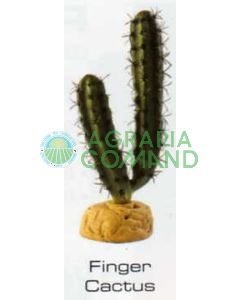 FINGER CACTUS - DESERT PLANTS