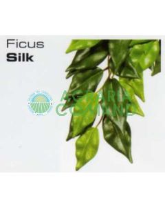 FICUS SILK MEDIUM - JUNGLE PLANTS