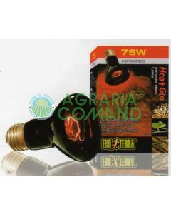 HEAT GLO INFRARED HEAT LAMP R20/75W