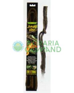 JUNGLE VINES SMALL