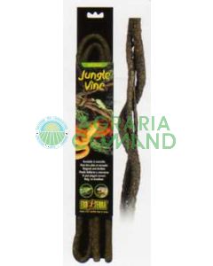 JUNGLE VINES MEDIUM