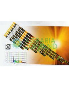 REPTI GLO 2.0/T8     DAYLIGHT TERRARIUM LAMP 42 " 105 CM. 40 W