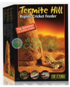 TERMITE HILL