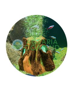 H2SHOW KIT TRONCO CON LED VERDE