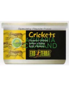 CRICKETS 34 GR. / 1.2 ONCIA - GRILLI