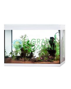 Acquario pure led cube 130 lt