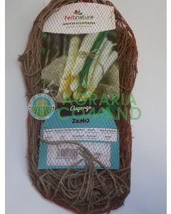 Asparago bianco zeno Asparago bianco zeno