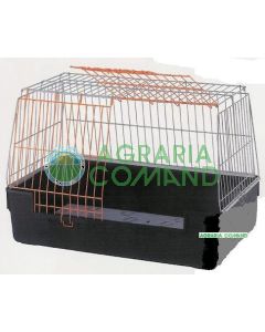 ATLAS VISION LARGE ATLAS VISION LARGE