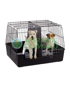 ATLAS VISION EXTRA LARGE FERPLAST