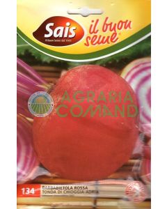 Barbabietola rossa tonda di Chioggia-Adria
