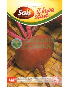 Barbabietola rossa Egitto