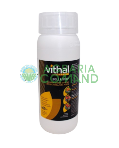 Bolla Del pesco Vithal