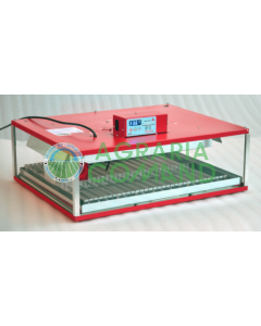 INCUBATRICE SCHIUSA BRAHMA 77 UOVA AUTOMATICA