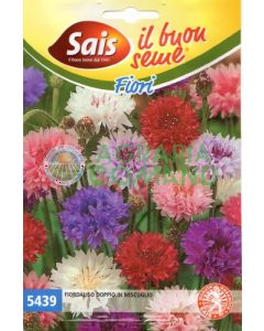 Fiordaliso doppio in miscuglio