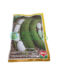 Fagiolo rampicante Bianco di Spagna