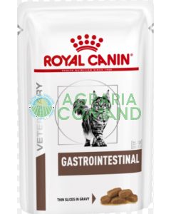 gastrointestinal chat royal canin straccetti