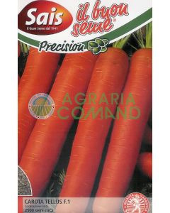 Seme carota Tellus costituzione Sais