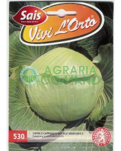 CAVOLO CAPPUCCIO BIANCO BRUNSWICK CAVOLO CAPPUCCIO BIANCO BRUNSWICK