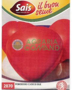 Pomodoro Cuor di Bue Pomodoro Cuor di Bue