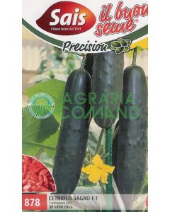 CETRIOLO SAGRO F.1 50 semi circa