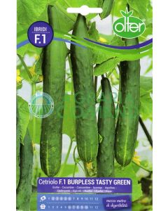 Cetriolo Burpless Tasty Green