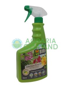 Compo insetticida colza Compo insetticida colza