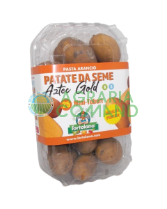 Confezione Aztec Gold