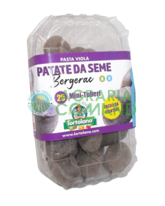 Confezione 50 buche bergerac