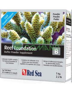 RED SEA REEF FOUNDATION B KG.1 RED SEA REEF FOUNDATION B KG.1