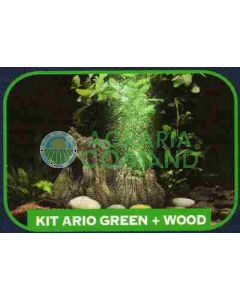 KIT ARIO COLOR GREEN DEC. WOOD