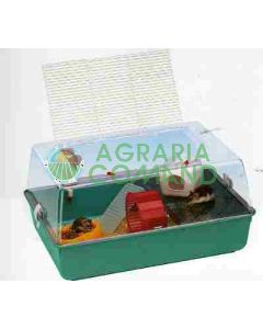 MINI DUNA HAMSTER MINI DUNA HAMSTER