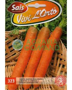 CAROTA NANTESE MIGLIORATA 2 o NANTESE DI CHIOGGIA 2 gr.50