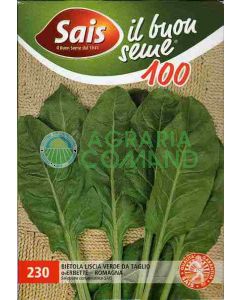 BIETOLA LISCIA VERDE DA TAGLIO O  ERBETTE - ROMAGNA gr. 100