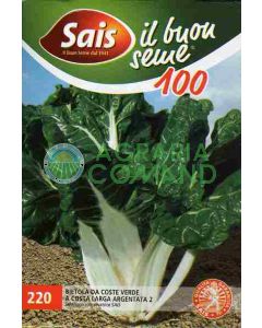 BIETOLA DA COSTE VERDE A COSTA LARGA ARGENTATA 2 gr.100
