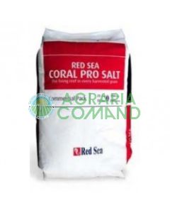 Sacco sale Coral pro