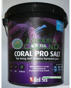 Secchio sale Coral Pro