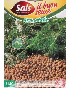 CORIANDOLO O PREZZEMOLO CINESE CORIANDOLO O PREZZEMOLO CINESE