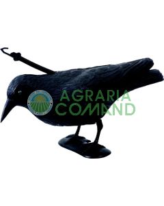 Spaventapasseri_corvo