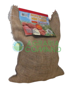 sacchetto patate Desiree 200 buche