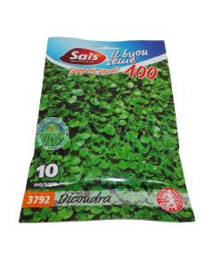 Dichondra repens seme