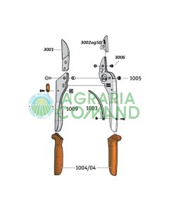 Esploso ricambi 3105